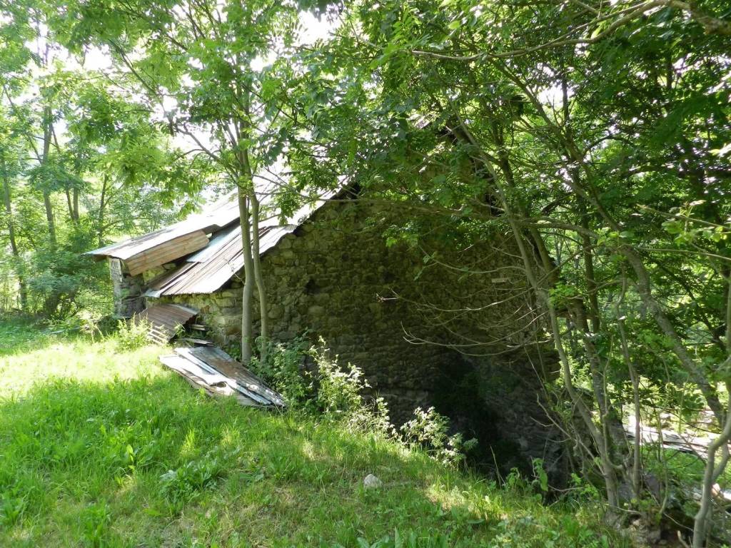 immagine annuncio 3 di 4