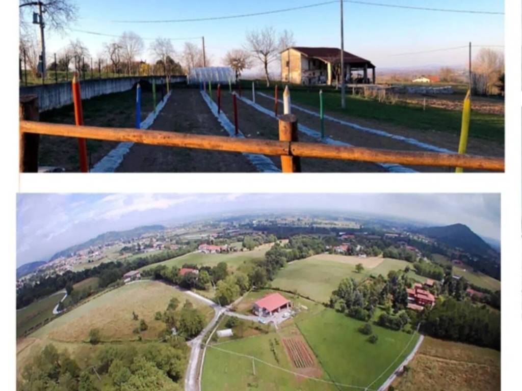 immagine annuncio 1 di 2