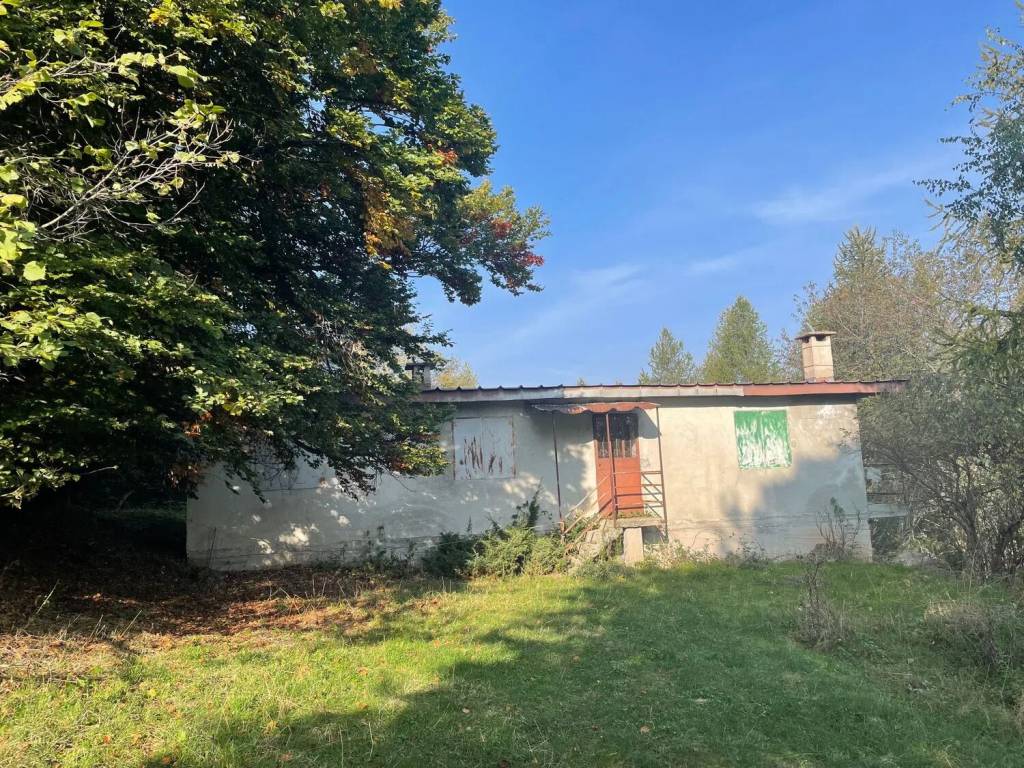 immagine annuncio 1 di 4