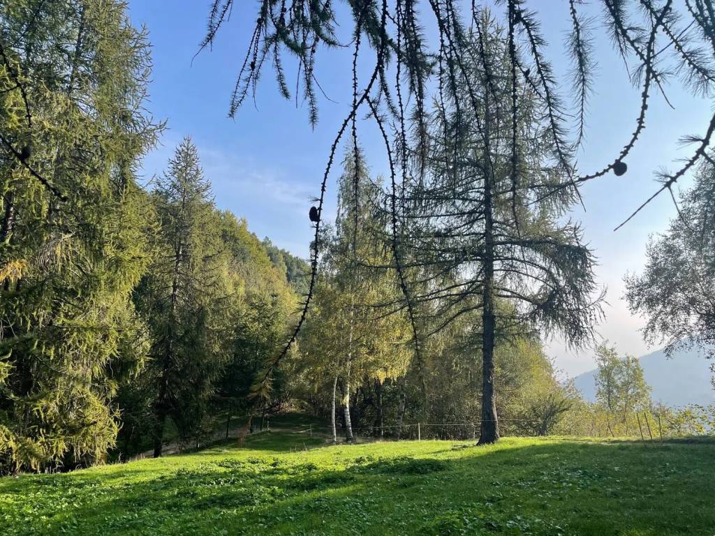 immagine annuncio 2 di 4