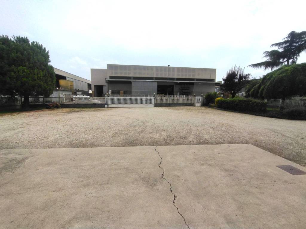 immagine annuncio 3 di 5