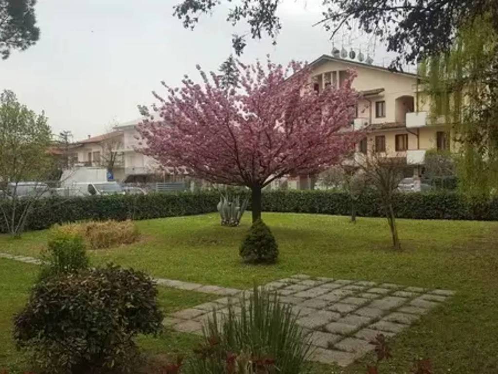immagine annuncio 1 di 3