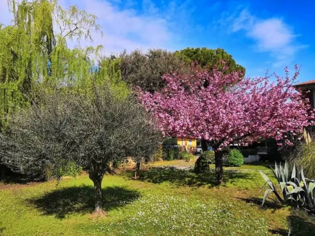 immagine annuncio 2 di 3