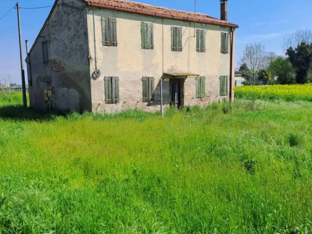 immagine annuncio 1 di 2