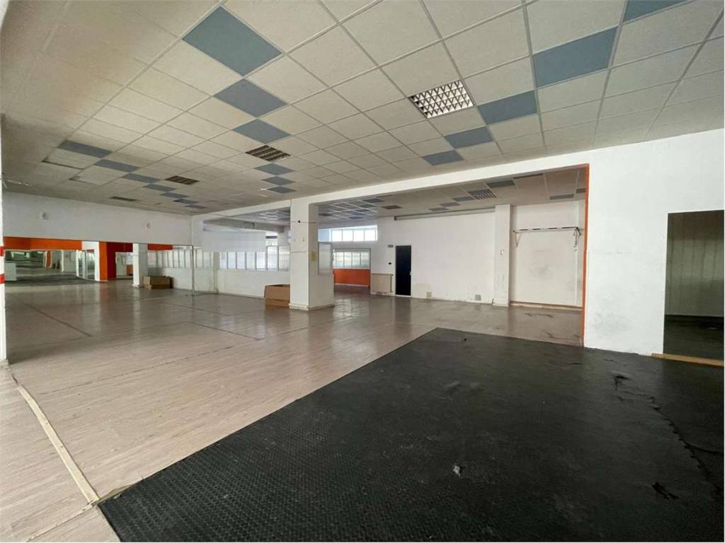 immagine annuncio 4 di 5