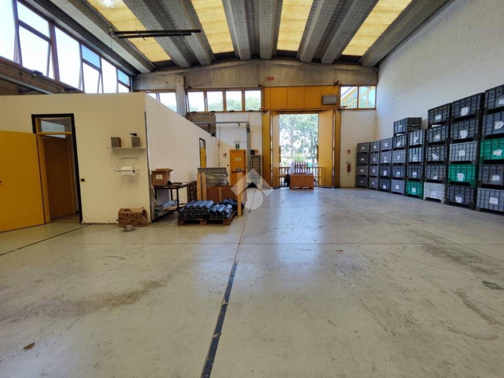 immagine annuncio 3 di 5