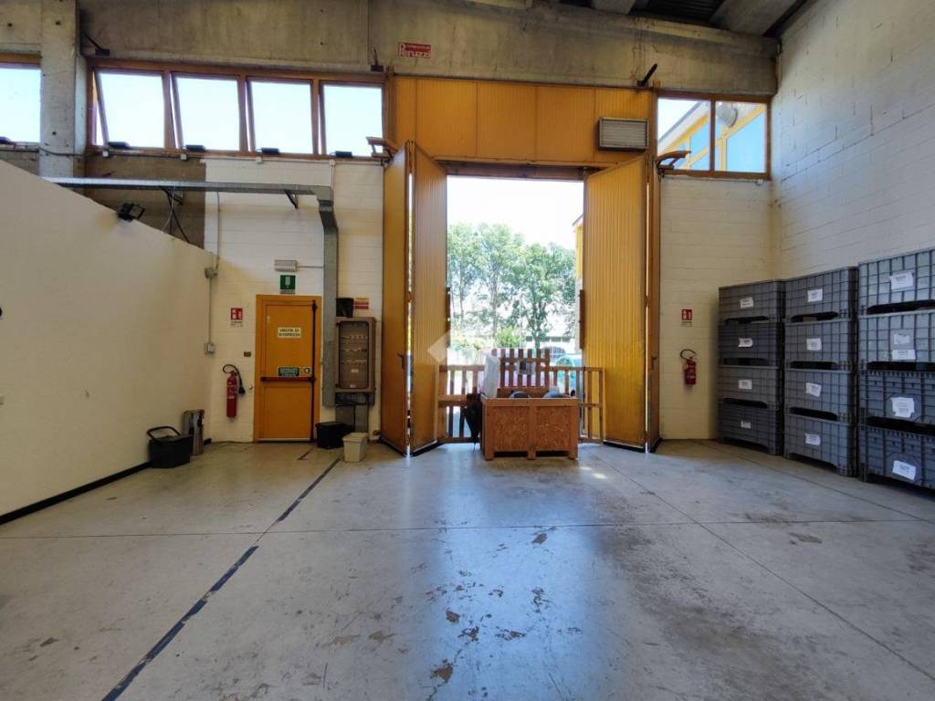 immagine annuncio 4 di 5