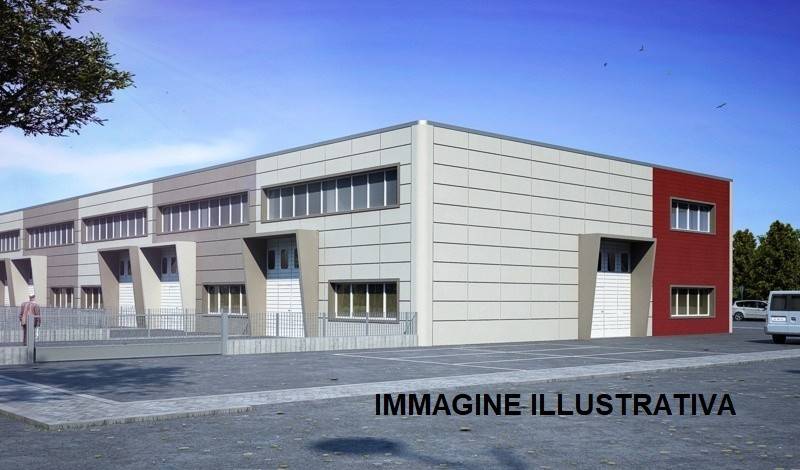immagine annuncio 3 di 5