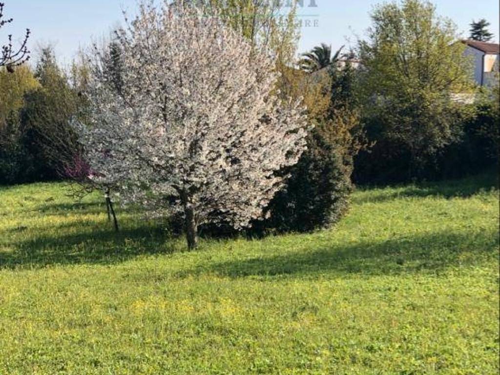 immagine annuncio 2 di 3