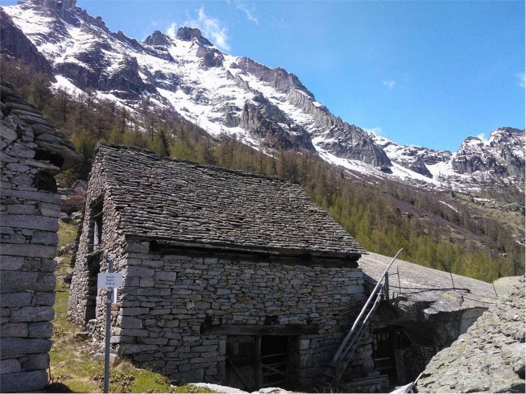 immagine annuncio 4 di 5