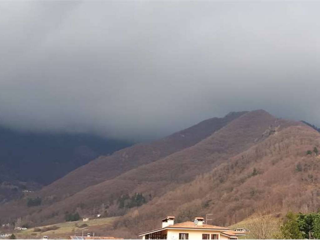 immagine annuncio 1 di 2