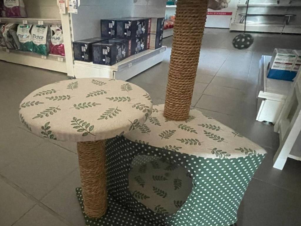immagine annuncio 1 di 2