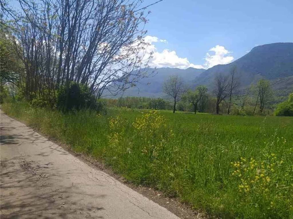 immagine annuncio 2 di 3