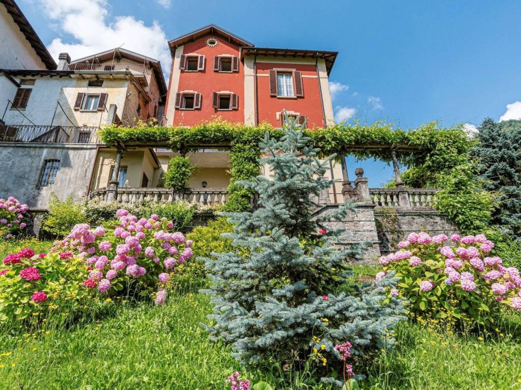 immagine annuncio 3 di 5