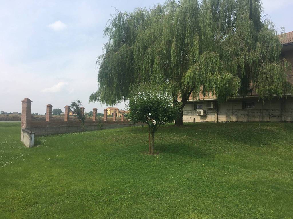 immagine annuncio 1 di 4