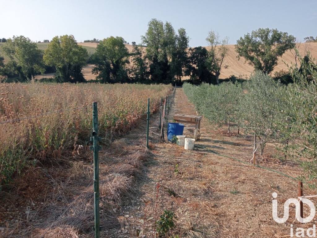 immagine annuncio 3 di 4