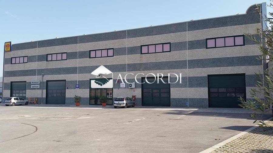 immagine annuncio 3 di 5