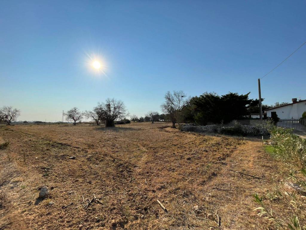 immagine annuncio 1 di 4