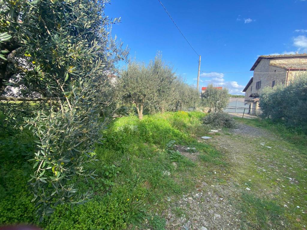 immagine annuncio 3 di 4