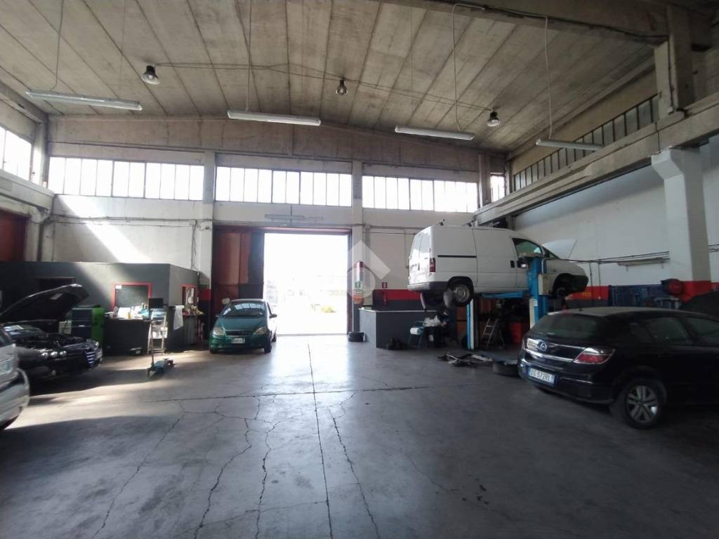 immagine annuncio 3 di 5