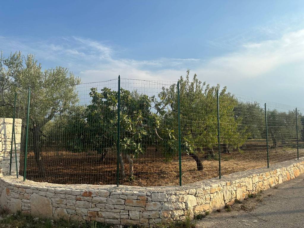 immagine annuncio 1 di 3