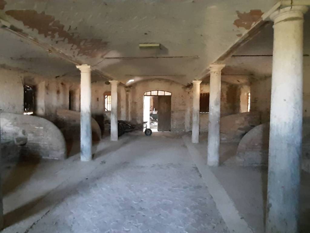 immagine annuncio 2 di 3