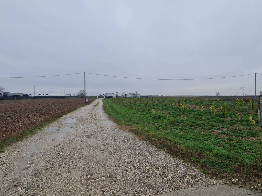 immagine annuncio 2 di 3