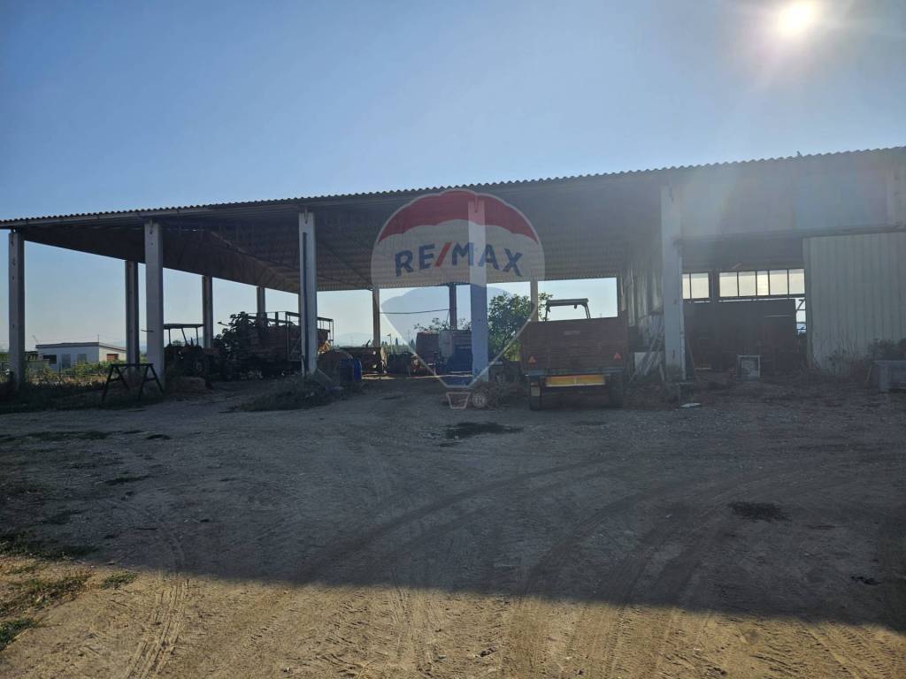 immagine annuncio 2 di 3