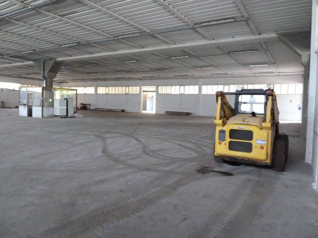 immagine annuncio 1 di 2