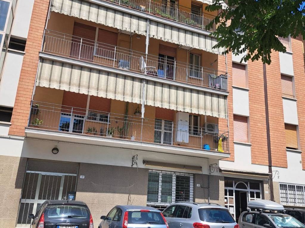 immagine annuncio 1 di 4