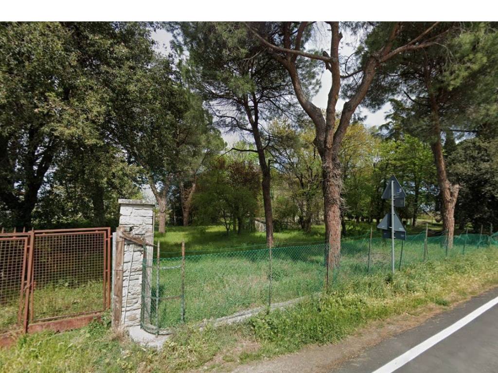 immagine annuncio 1 di 2