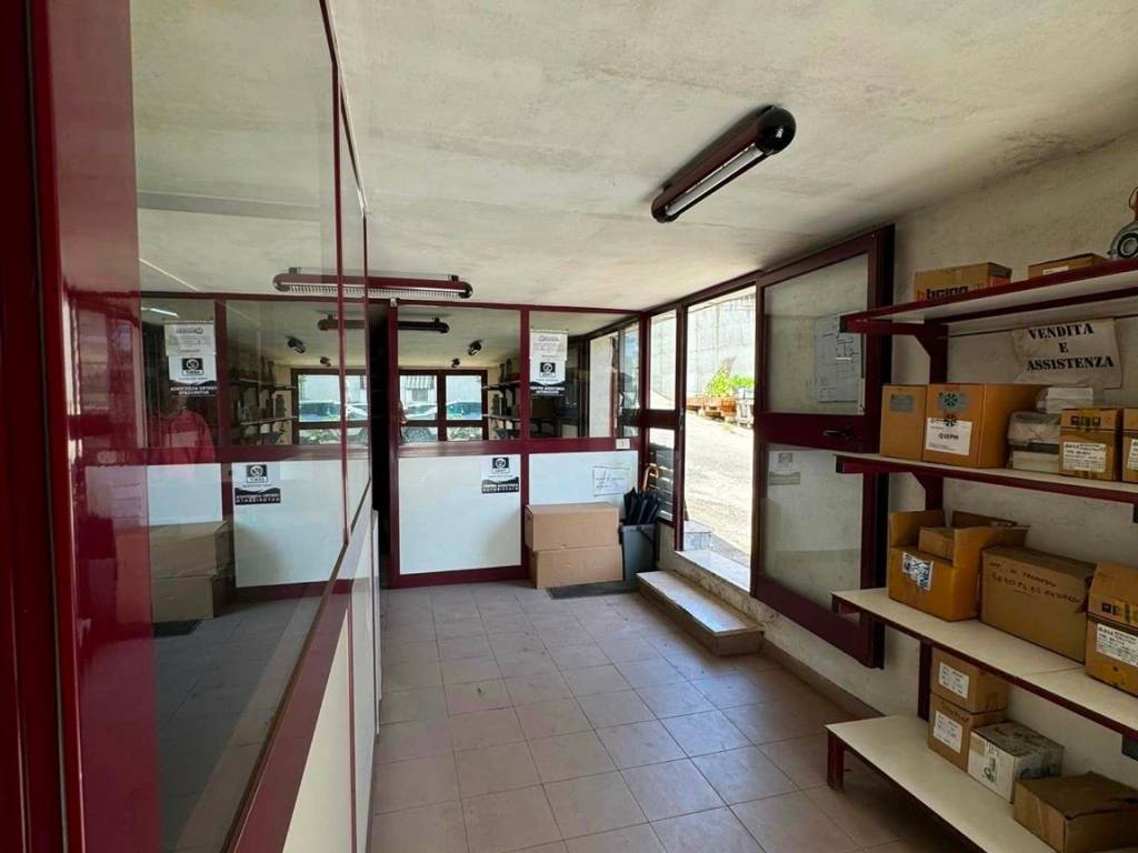 immagine annuncio 2 di 5