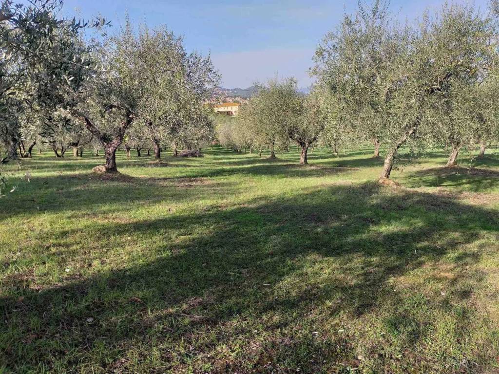 immagine annuncio 3 di 4