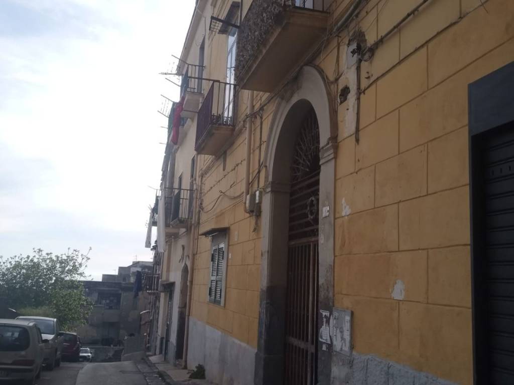 immagine annuncio 2 di 4