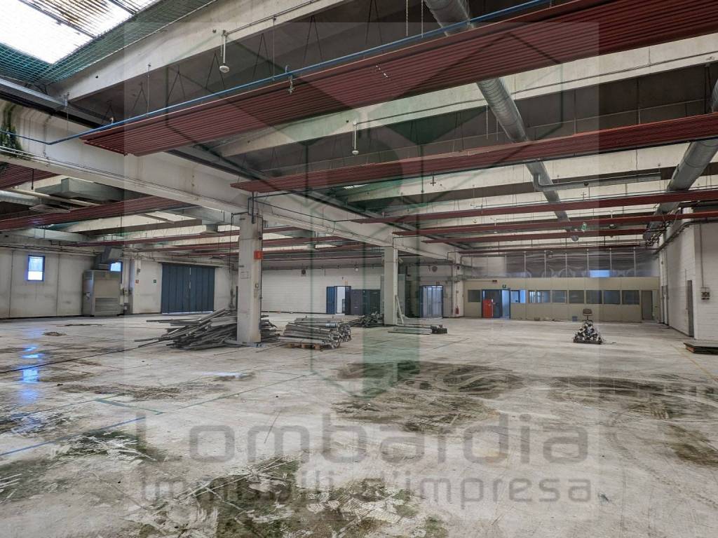 immagine annuncio 4 di 5