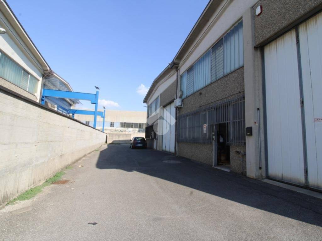 immagine annuncio 4 di 5