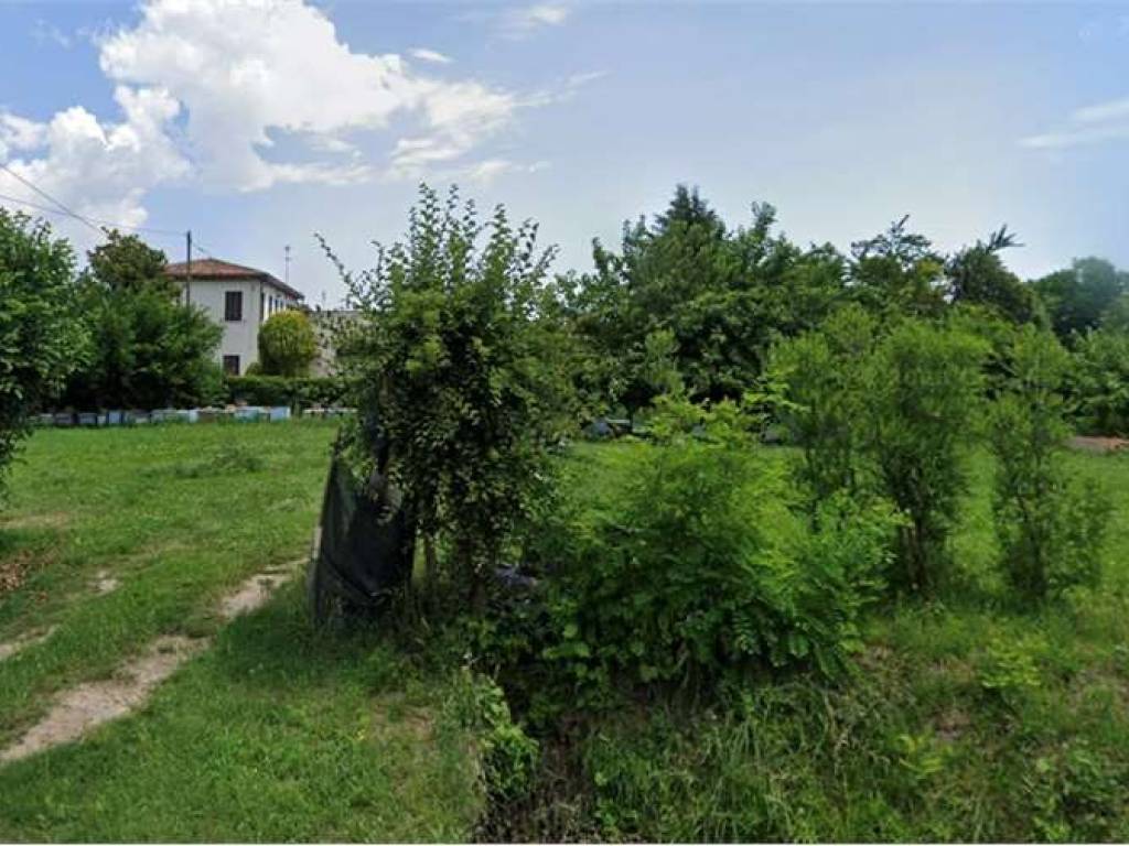 immagine annuncio 1 di 2