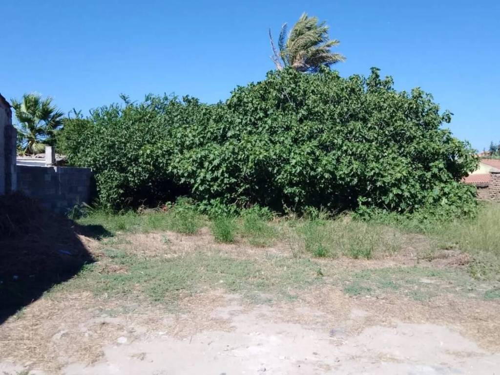 immagine annuncio 1 di 4