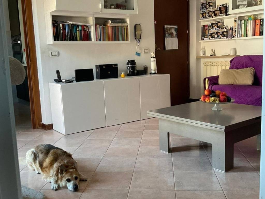 immagine annuncio 1 di 5