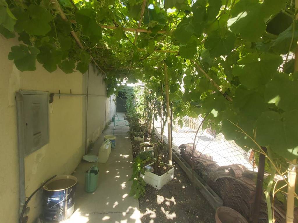 immagine annuncio 2 di 3