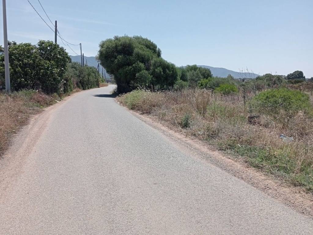 immagine annuncio 3 di 4