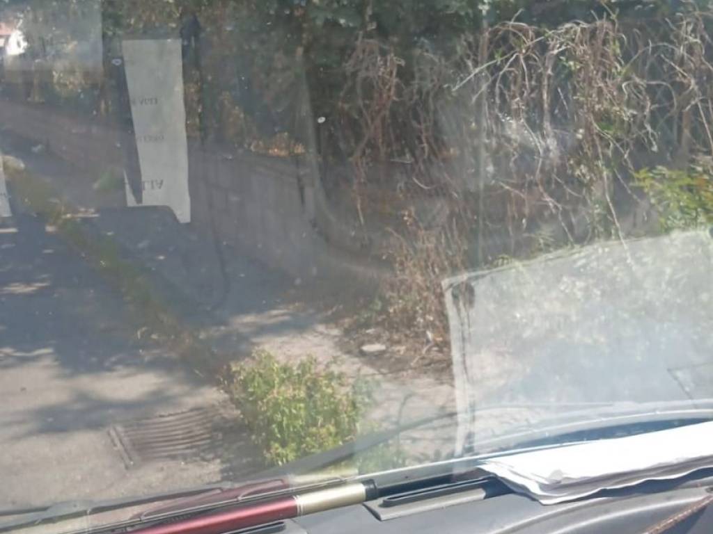 immagine annuncio 1 di 3