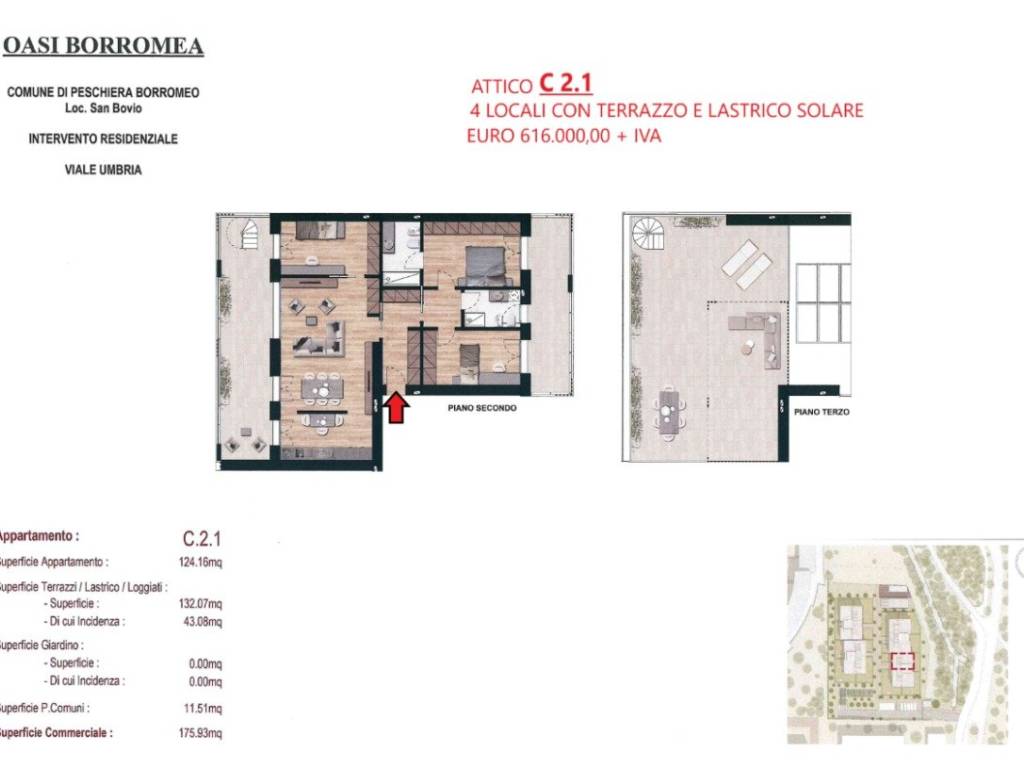 immagine annuncio 2 di 4