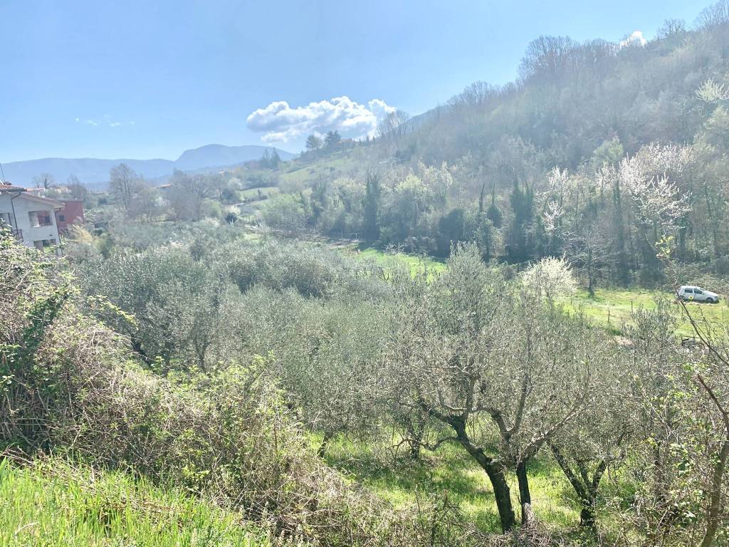 immagine annuncio 1 di 3
