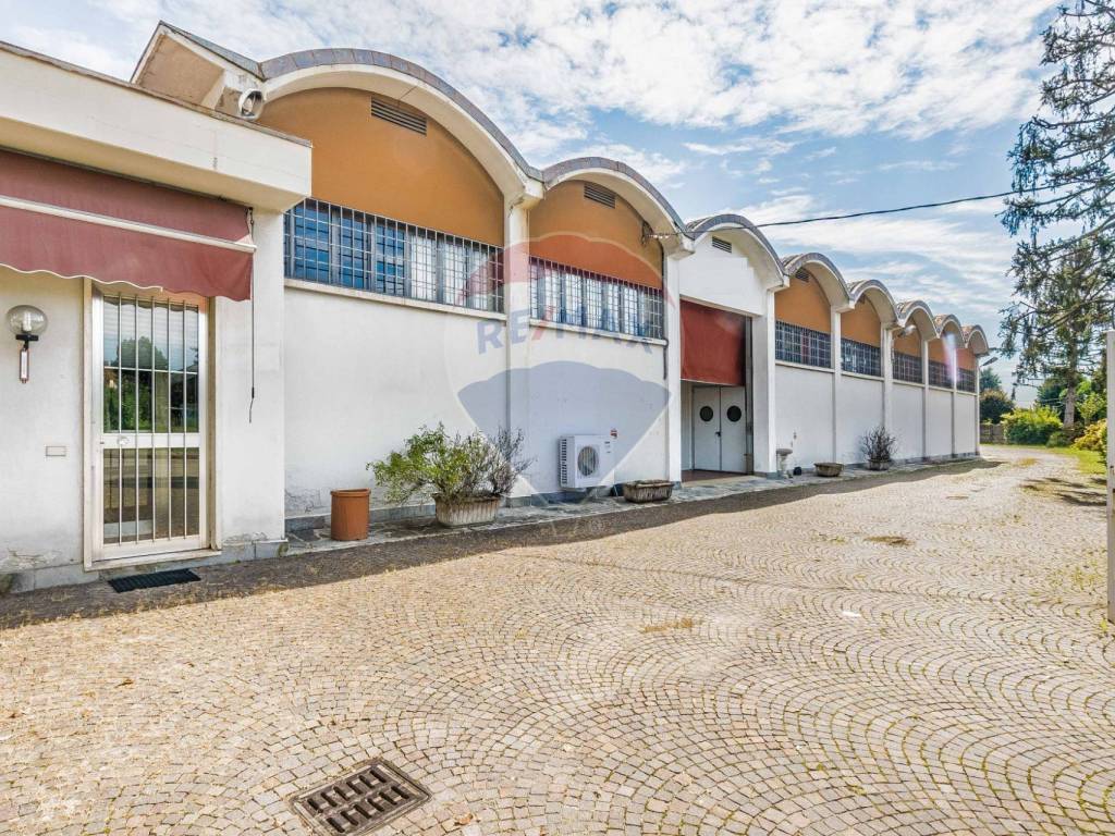 immagine annuncio 1 di 5