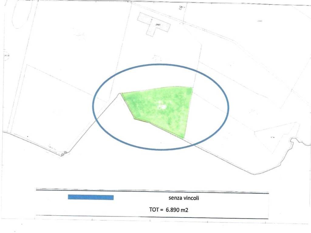 immagine annuncio 3 di 4