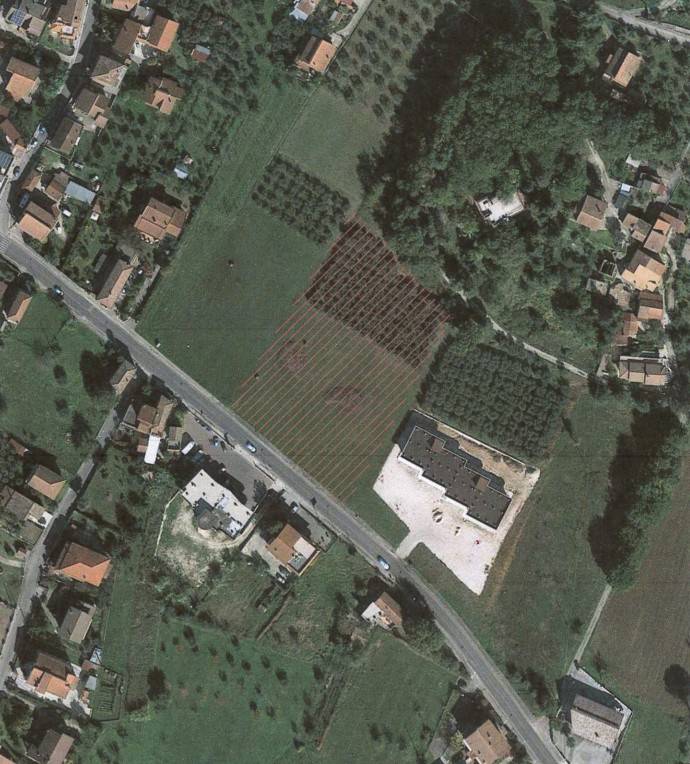 immagine annuncio 2 di 3