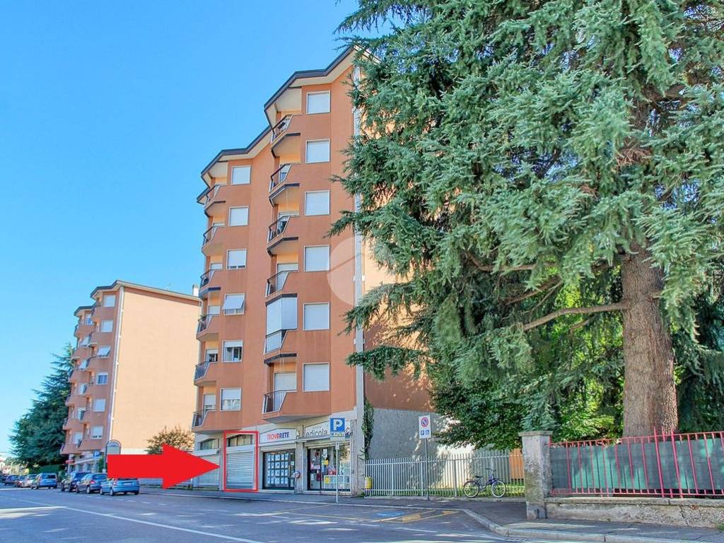 immagine annuncio 1 di 5