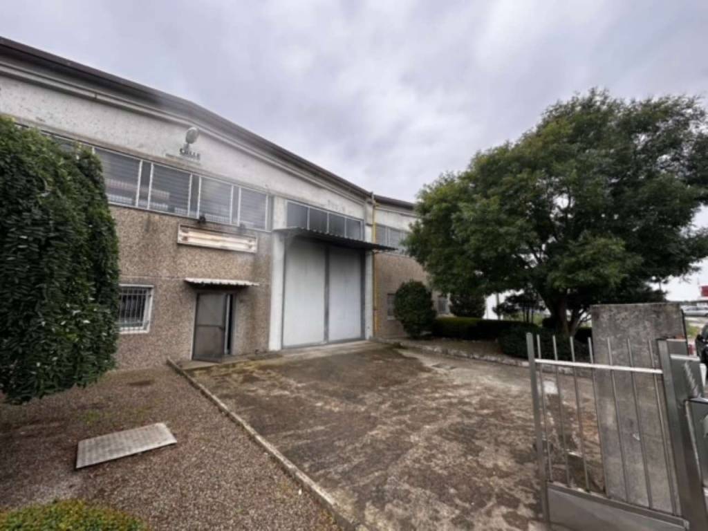 immagine annuncio 3 di 5