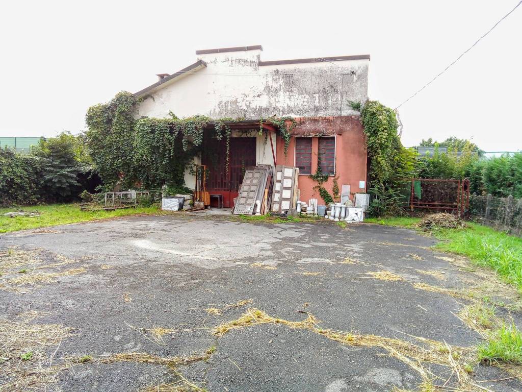immagine annuncio 2 di 5